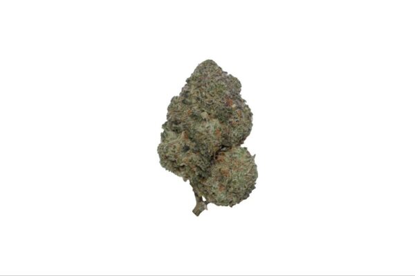 image2-4
